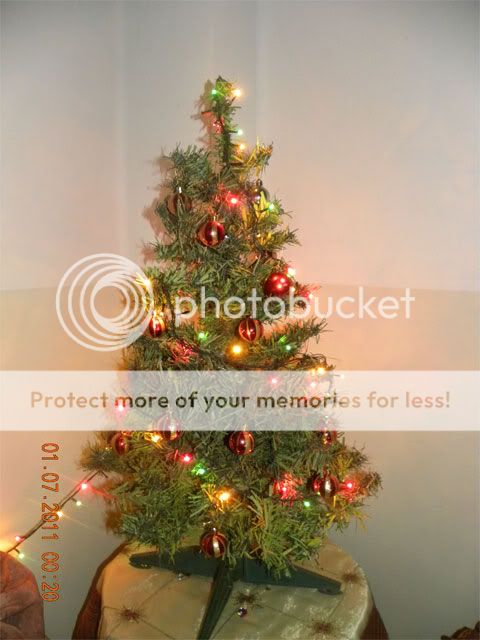 Новый год в Сирии 