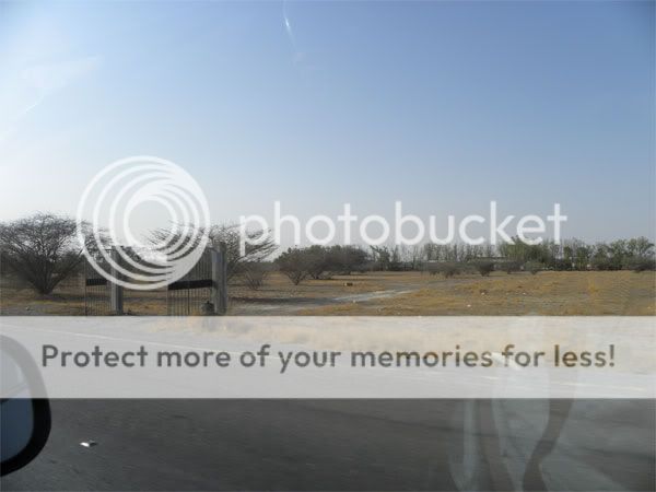 Знакомство с Фуджейрой