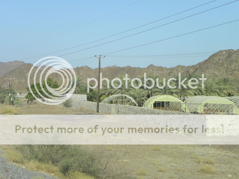 Знакомство с Фуджейрой 