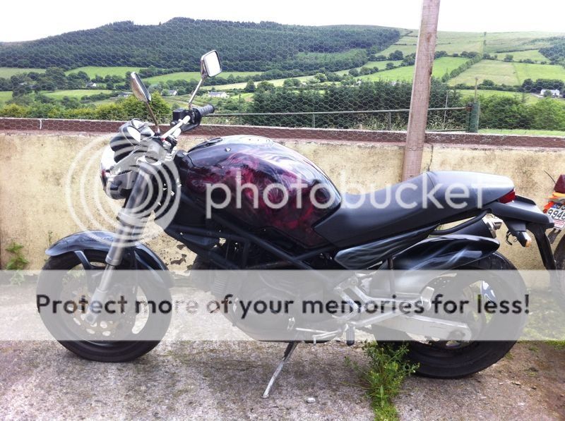 For Sale Ducati Monster 600 Bikerie Forums
