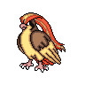 PidgeotPillowed.gif
