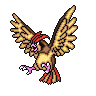 PidgeottoPillowed.gif