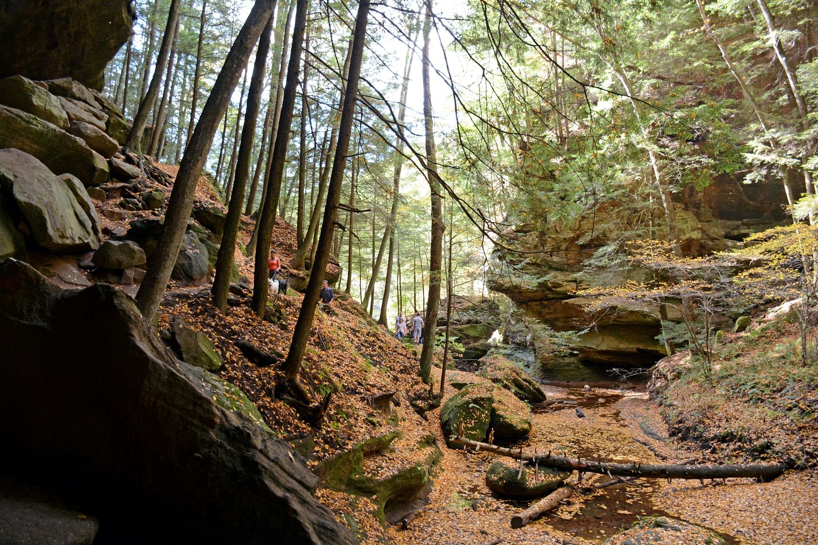 photo DSC_3046.jpg