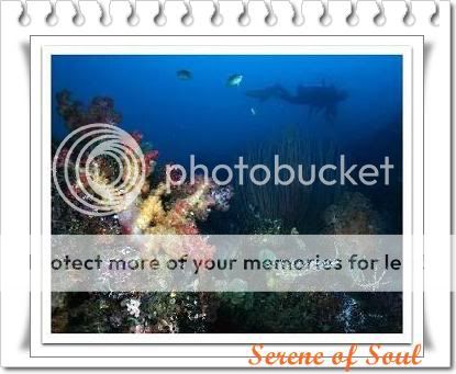 diving on Raja Ampat Island