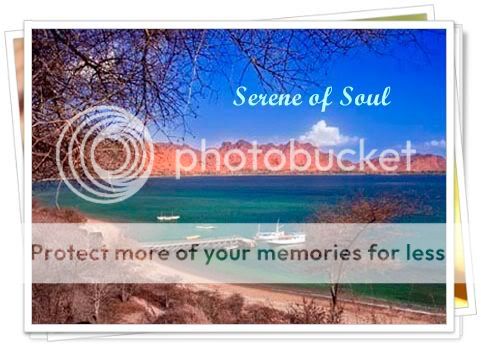 Dragon-Komodo-Island