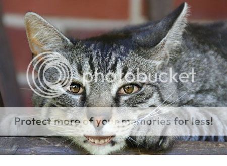 title