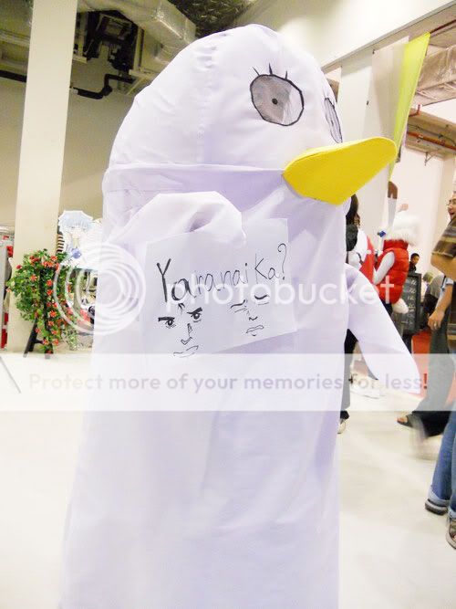 oct-033.jpg picture by norramon_bucket