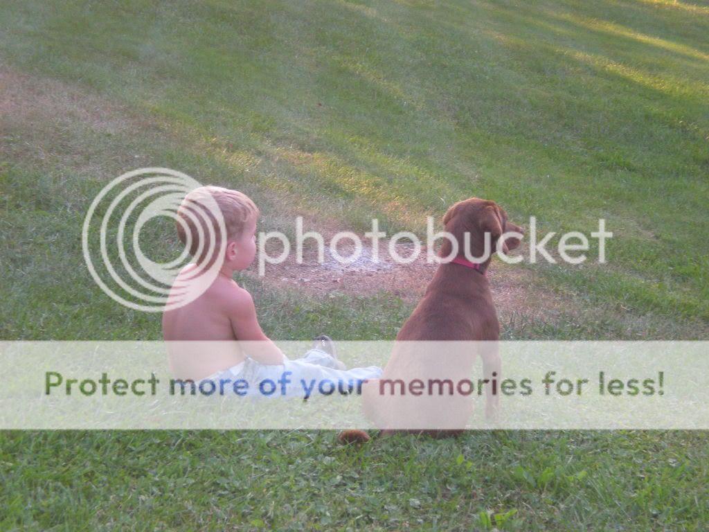 What kind of dog?? - Homesteading Questions