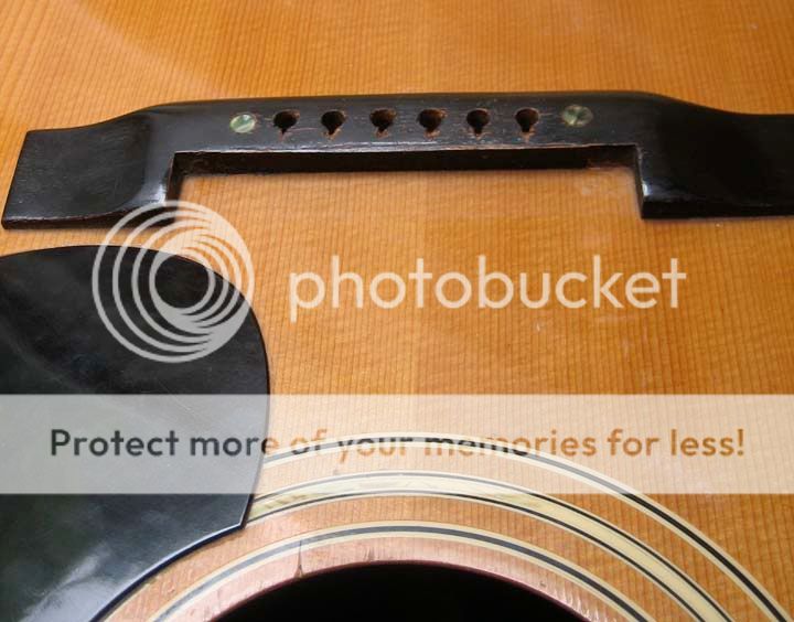 Harmony h6691 help The Acoustic Guitar Forum