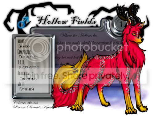 User Image