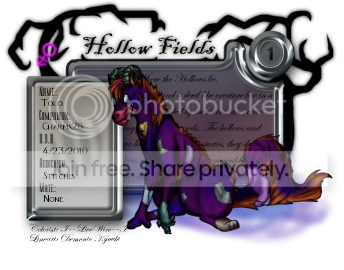 User Image