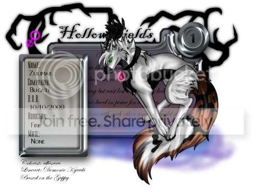 User Image