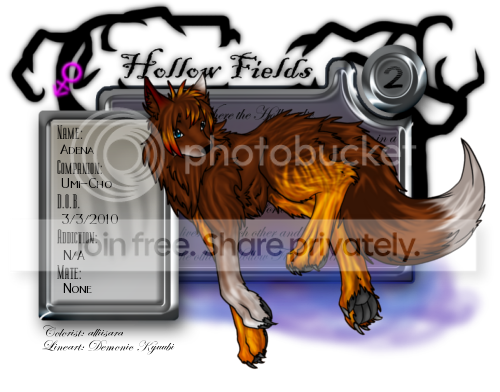User Image