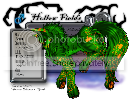 User Image