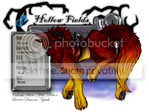 User Image