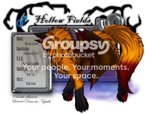 User Image