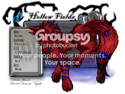 User Image