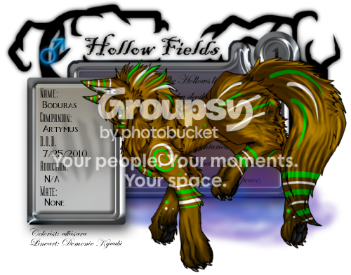 User Image