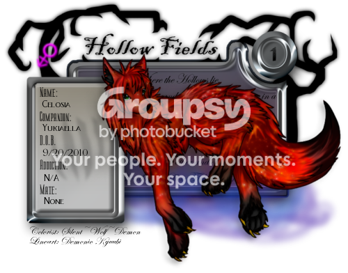 User Image