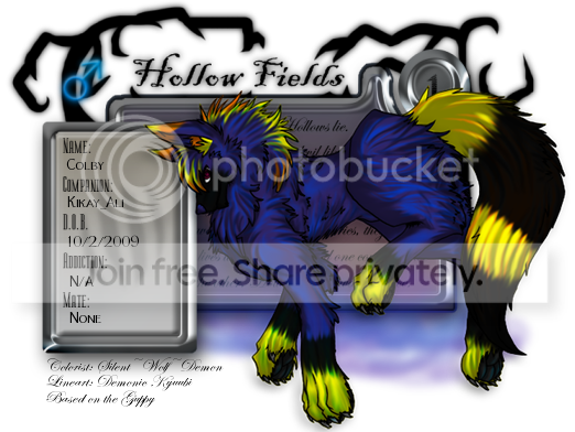User Image