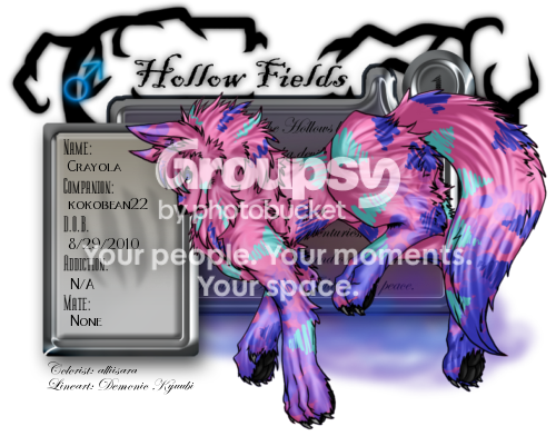 User Image