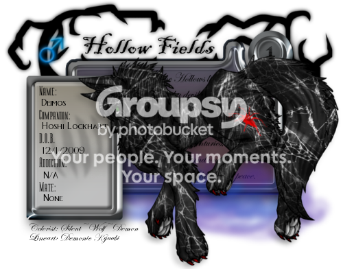 User Image