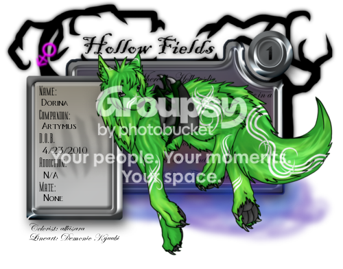 User Image