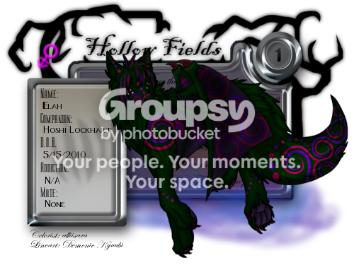User Image