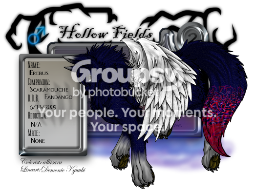 User Image