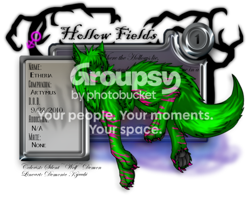 User Image