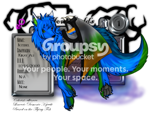 User Image