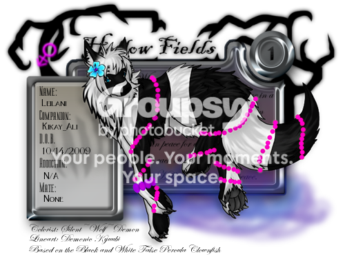 User Image