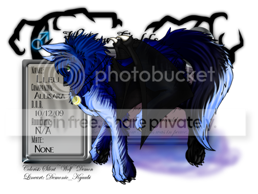 User Image