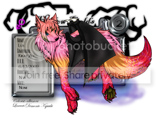 User Image