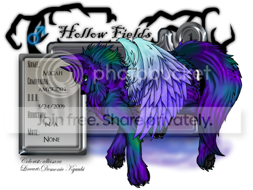 User Image