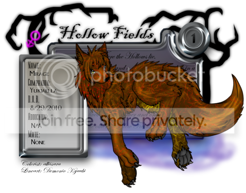 User Image