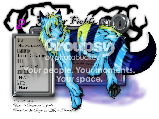 User Image