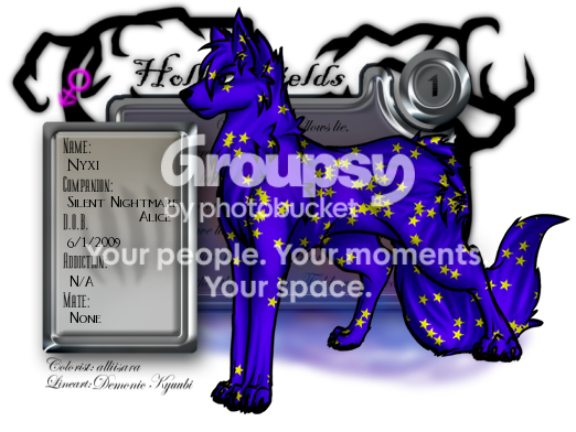 User Image