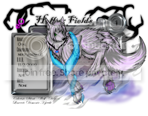 User Image