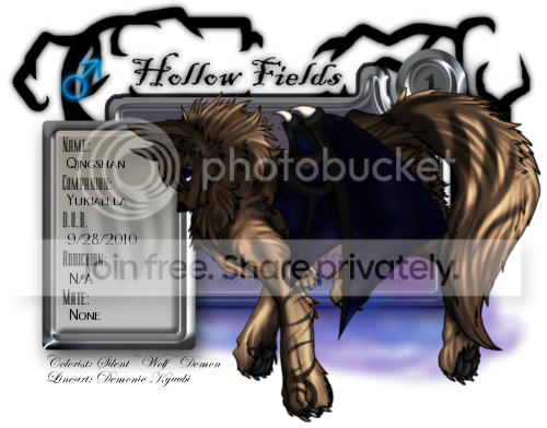 User Image
