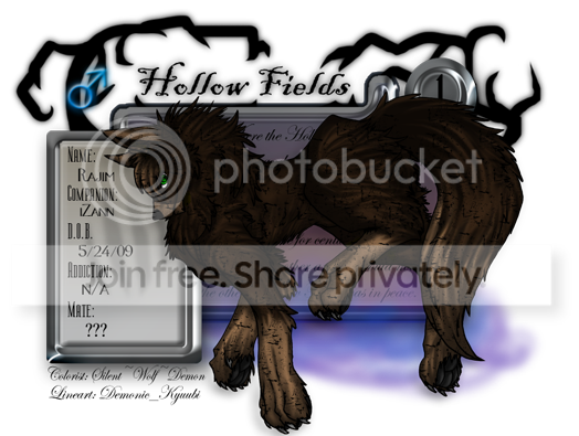 User Image