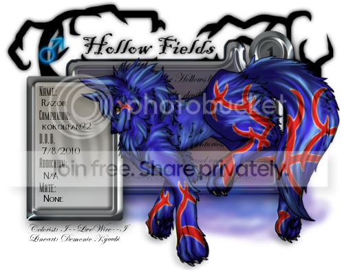User Image