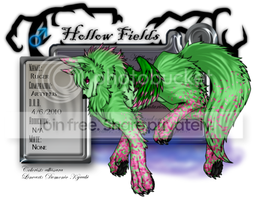 User Image