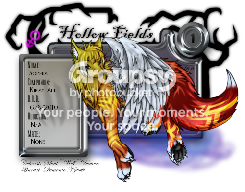 User Image