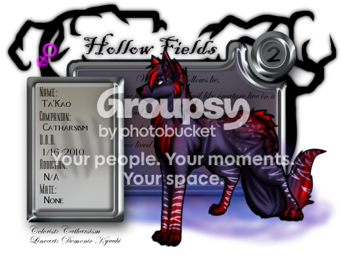 User Image