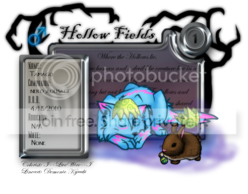 User Image