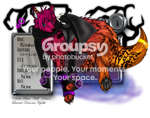 User Image