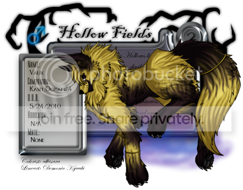 User Image