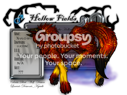 User Image
