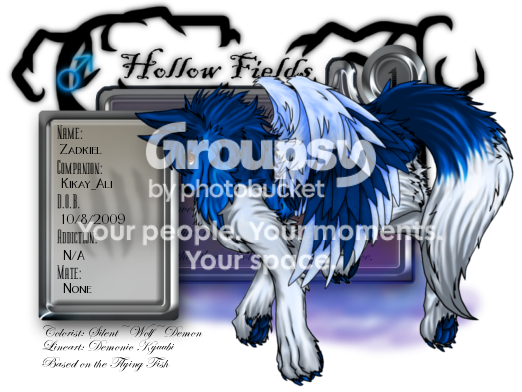 User Image